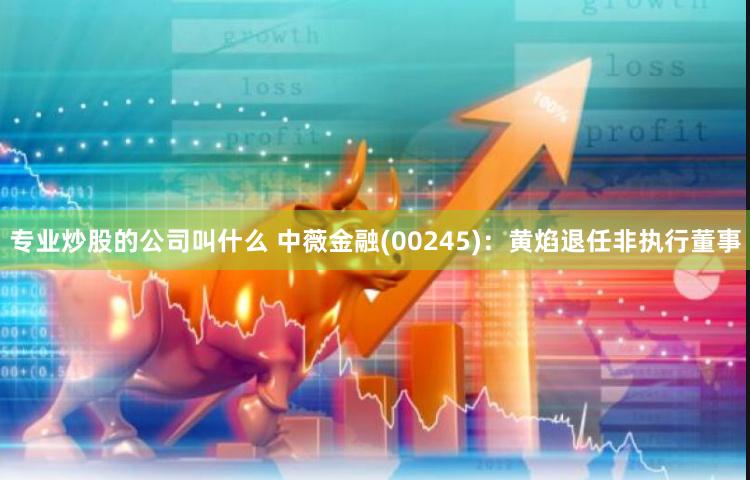 专业炒股的公司叫什么 中薇金融(00245)：黄焰退任非执行董事