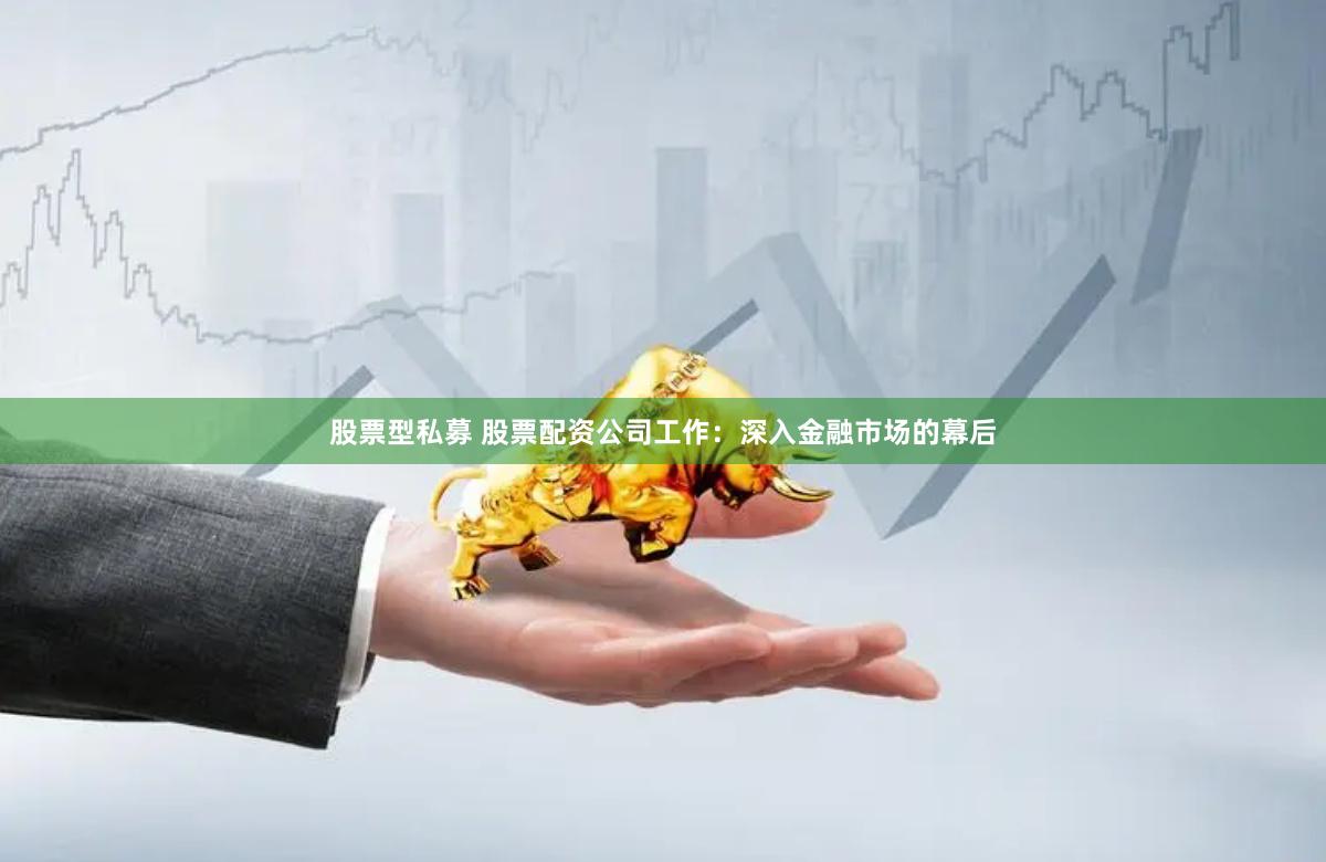 股票型私募 股票配资公司工作：深入金融市场的幕后